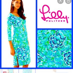 BEAUTIFUL Lilly Pulitzer Kenzie Dress XL